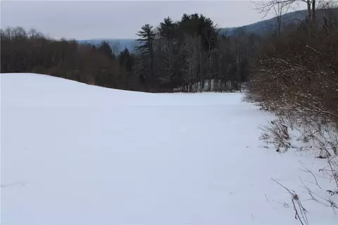 State Highway 166, Middlefield, NY 13326 photo 6