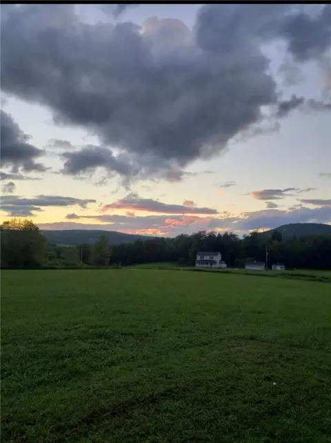 826 River Rd, Butternuts, NY 13776 photo 16
