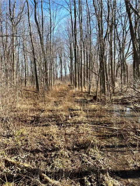 West Kendall Road, Kendall, NY 14476