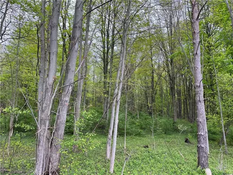 old state road, Sterling, NY 13156