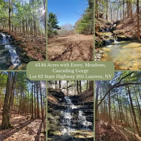 lot62 State Highway 205, Laurens, NY 13810