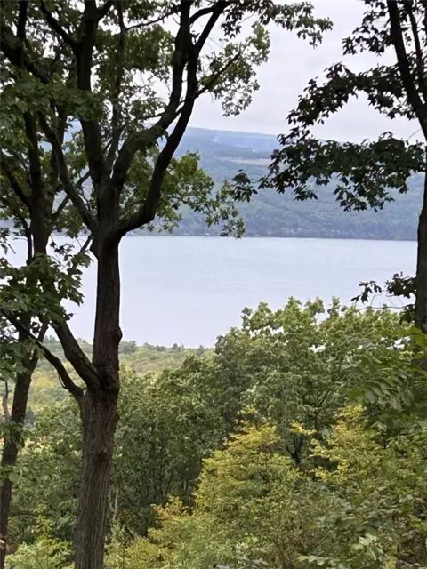 0 Satterly Way, Hector, NY 14818