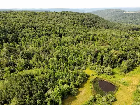 8023 Peacock Rd, Bath, NY 14810 photo 9