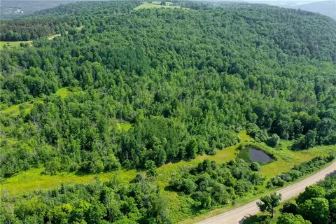 8023 Peacock Rd, Bath, NY 14810