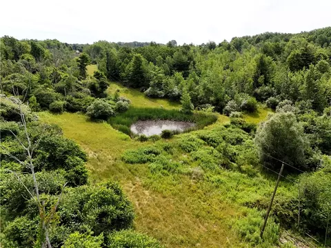 8023 Peacock Rd, Bath, NY 14810 photo 10