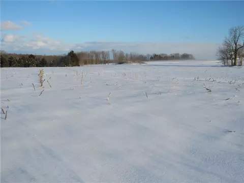 8640 Helch Rd, Lyons, NY 14489 photo 10