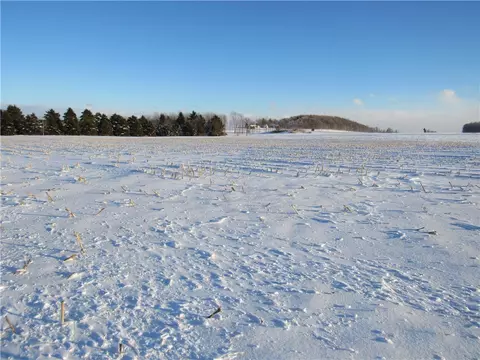 8640 Helch Rd, Lyons, NY 14489 photo 6