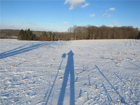 8640 Helch Rd, Lyons, NY 14489 photo 8