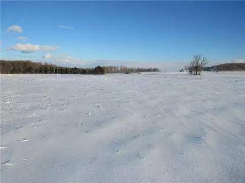 8640 Helch Rd, Lyons, NY 14489 photo 9