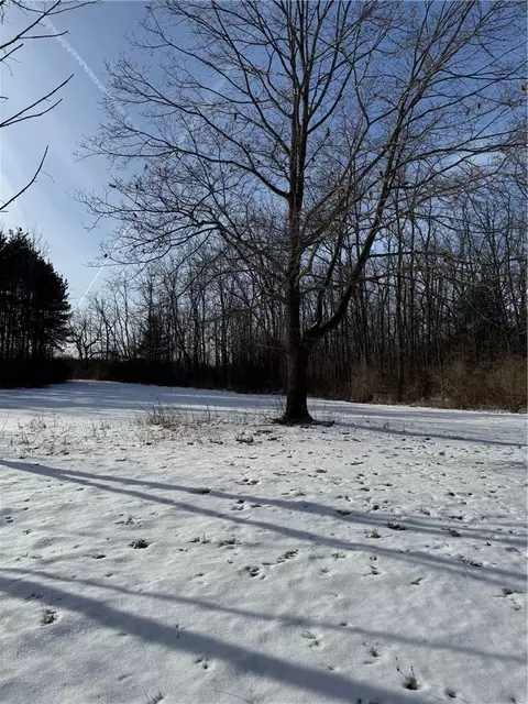1600 Ellis Rd, Barrington, NY 14837