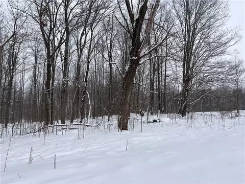15323 Lone Rd, Collins, NY 14070 photo 21