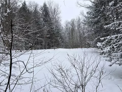 15323 Lone Rd, Collins, NY 14070 photo 23