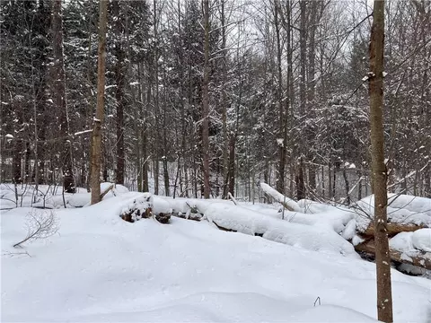 15323 Lone Rd, Collins, NY 14070 photo 25