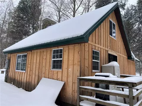 15323 Lone Rd, Collins, NY 14070 photo 3