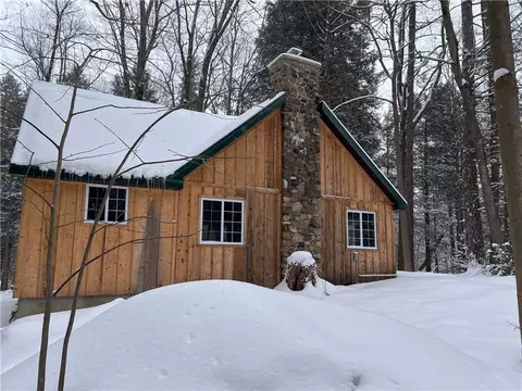 15323 Lone Rd, Collins, NY 14070 photo 27
