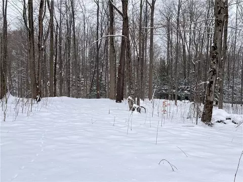 15323 Lone Rd, Collins, NY 14070 photo 20