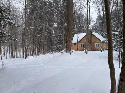 15323 Lone Rd, Collins, NY 14070