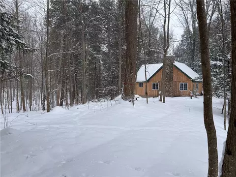 15323 Lone Rd, Collins, NY 14070 photo 26