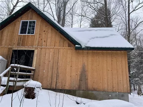 15323 Lone Rd, Collins, NY 14070 photo 29