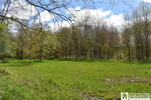 Earl Seaton Rd., Napoli, NY 14772