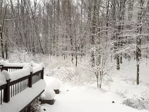 1211 Silverstone Pass, Webster, NY 14580 photo 47