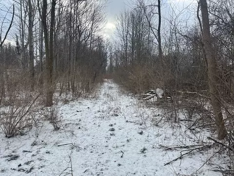 2212 Brace Rd, East Bloomfield, NY 14424