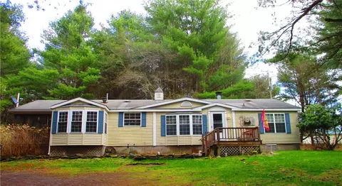 264 Lulu Coon Rd, Butternuts, NY 13849