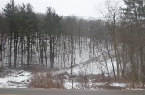 Rt-53, Prattsburgh, NY 14873 photo 1