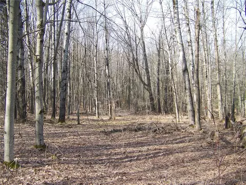 191 West Ext, Laurens, NY 13820