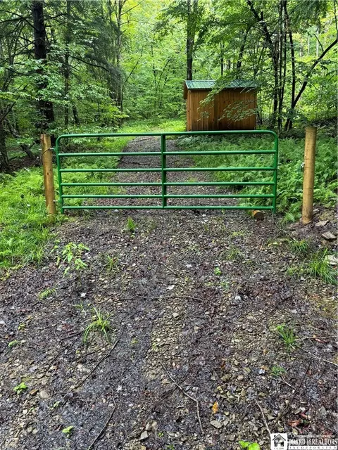 Orebed Road, Willing, NY 14895