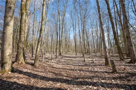 L11.6b Rossman Valley Road, Summit, NY 12175