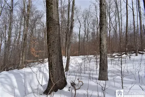 0 Morgan Holw, Franklinville, NY 14737