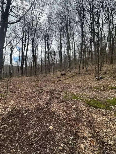 Kims Way, Stamford, NY 12167