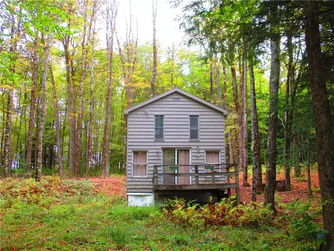 150 Lakeside Dr, Edmeston, NY 13335