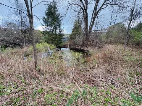 0 Marsh Rd, Tuscarora, NY 14801