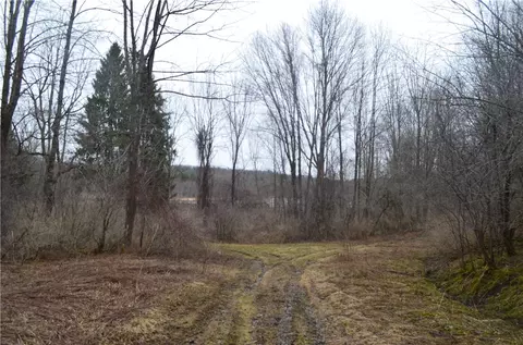 1377 Vrolyk Rd, Georgetown, NY 13334