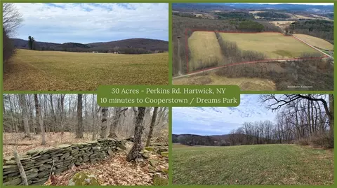 0 Perkins Rd, Hartwick, NY 13348