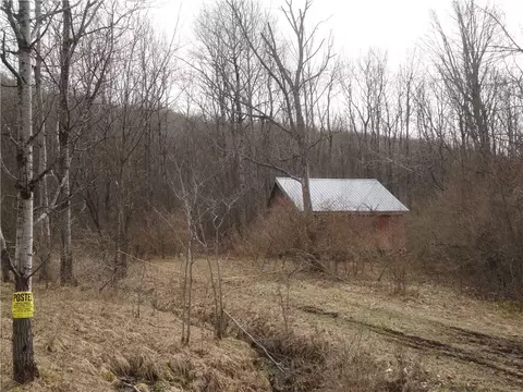 3282 Rock Run Rd, Canisteo, NY 14823