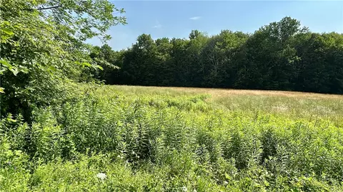 Hamden Hill Road, Delhi, NY 13753