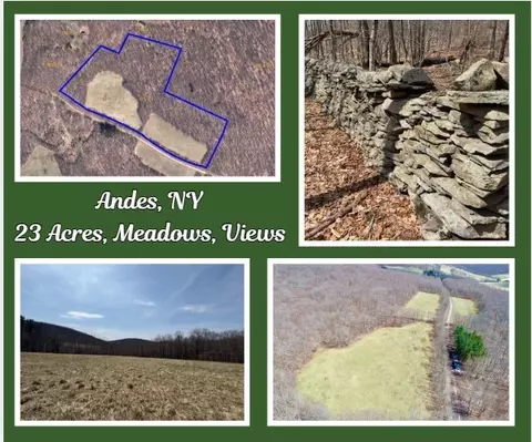 lot2 Doig Hollow Rd, Andes, NY 13731