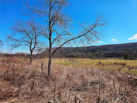 3214 State Highway 28, Milford, NY 13807