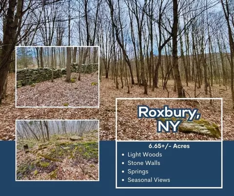 lot43 George Lawrence Rd, Roxbury, NY 12421