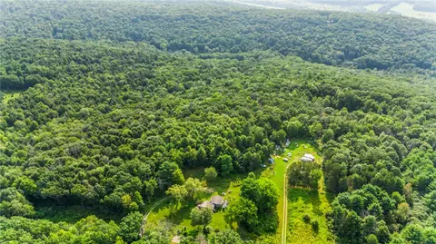 4228 Pine Hill Rd, Hornby, NY 14830 photo 10