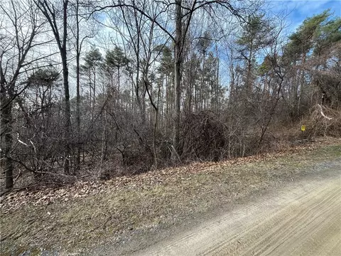 00 Lane Development, Potter, NY 14527