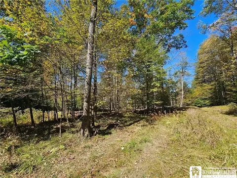 0 Willow Brook Rd, Genesee, NY 14754 photo 19
