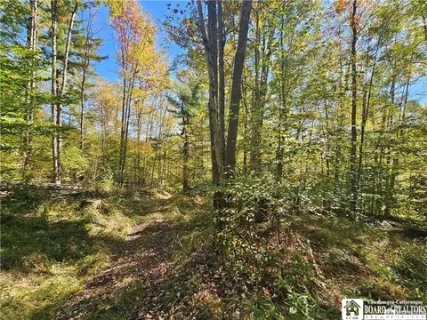 0 Willow Brook Rd, Genesee, NY 14754 photo 15