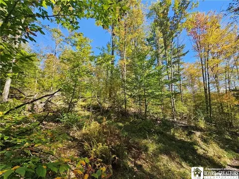 0 Willow Brook Rd, Genesee, NY 14754 photo 16