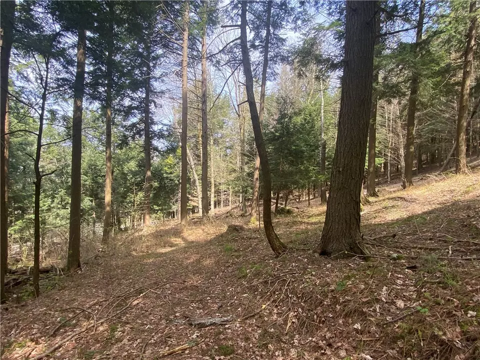  lot A Piermott Ln, Hartwick, NY 13348 photo 7