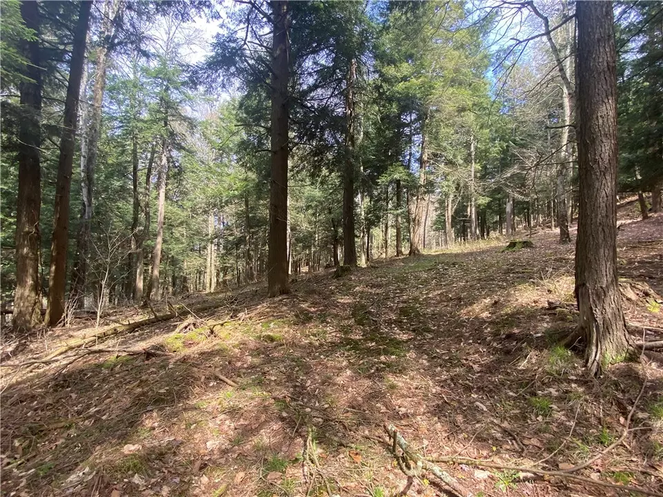  lot A Piermott Ln, Hartwick, NY 13348 photo 4