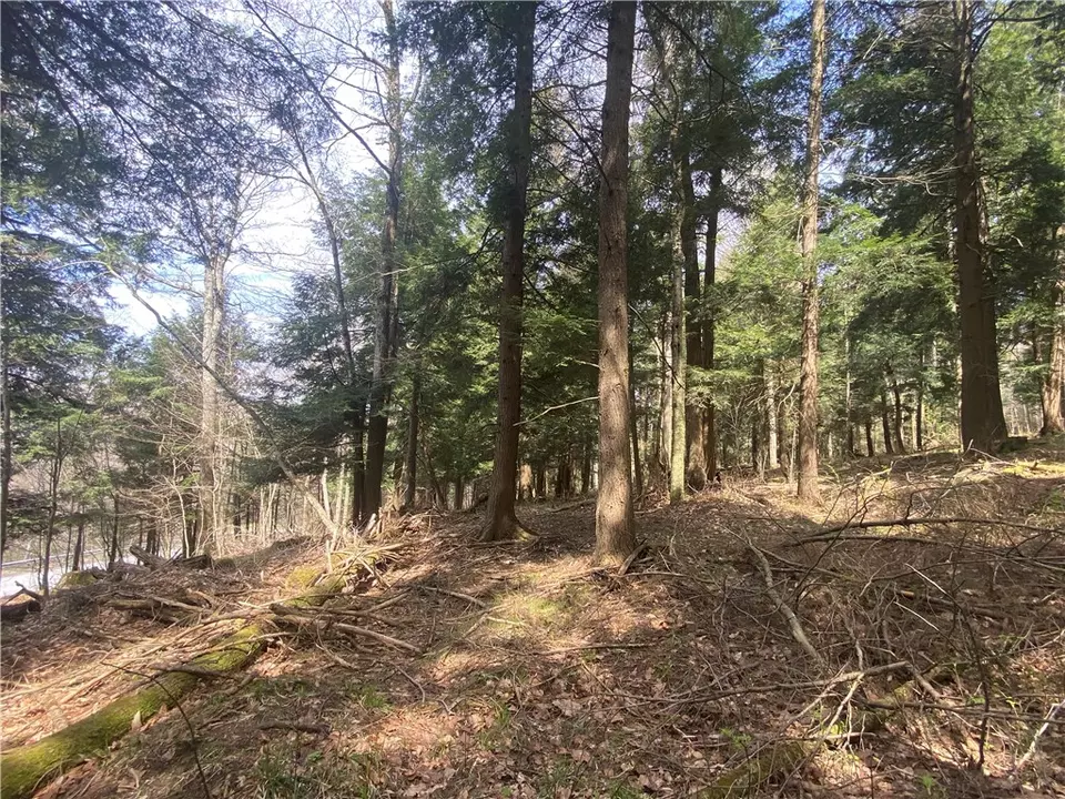  lot A Piermott Ln, Hartwick, NY 13348 photo 3